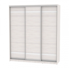 Шкаф-купе Аларти B-220х200х60-3ЯАС-D9D9D9