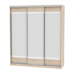 Шкаф-купе Аларти B-220х200х60-3ДСС-D10D10D10