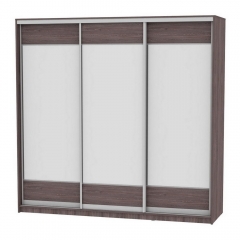 Шкаф-купе Аларти B-220х235х60-2ЯАТ-D8D8D8