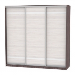 Шкаф-купе Аларти B-220х235х60-3ЯАТ-ЯАС-D9D9D9