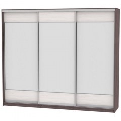 Шкаф-купе Аларти B-220х270х60-2ЯАТ-ЯАС-D8D8D8