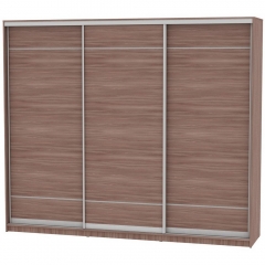 Шкаф-купе Аларти B-220х270х60-3ЯШТ-D7D7D7