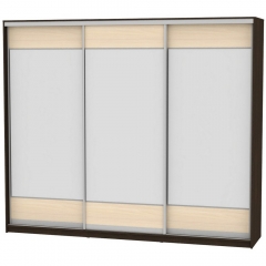 Шкаф-купе Аларти B-220х270х60-3Венге-ДМ-D8D8D8