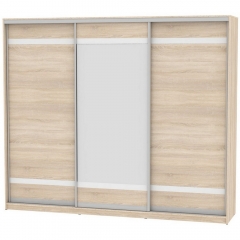 Шкаф-купе Аларти B-220х270х60-3ДСС-D9D10D9