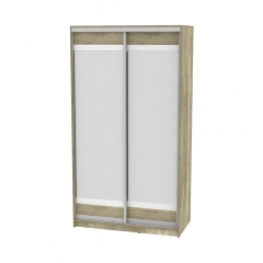 Шкаф-купе Аларти B-230х120х60-3ДКМ-D10D10