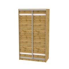 Шкаф-купе Аларти B-230х120х60-2ДВ-D9D9