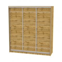 Шкаф-купе Аларти B-220х200х60-2ДВ-D7D7D7