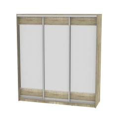 Шкаф-купе Аларти B-220х200х60-1ДКМ-D8D8D8