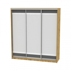 Шкаф-купе Аларти B-230х200х60-2ДВ-Графит-D10D10D10