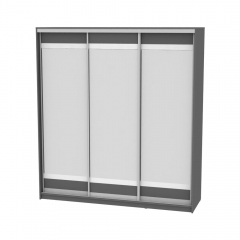 Шкаф-купе Аларти B-220х180х60-3Графит-D10D10D10