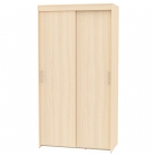 Шкаф-купе Аларти T-1-230х120х60ДМ-3
