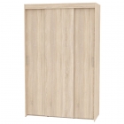 Шкаф-купе Аларти T-3-230х145х60ДСС-12