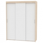 Шкаф-купе Аларти T-3-230х175х60ДСС-Белый-8