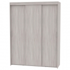 Шкаф-купе Аларти T-3-230х175х60ЯШС-8