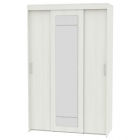 Шкаф-купе Аларти T-3-230х145х60-MВД-11